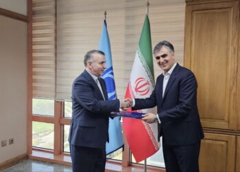 سرپرست معاونت بین‌الملل بانک مرکزی منصوب شد