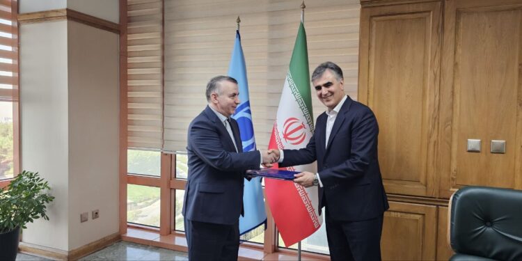 سرپرست معاونت بین‌الملل بانک مرکزی منصوب شد