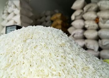 برنج پاکستانی را وارد بازار کنید تا قیمت برنج ایرانی بشکند