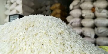 برنج پاکستانی را وارد بازار کنید تا قیمت برنج ایرانی بشکند