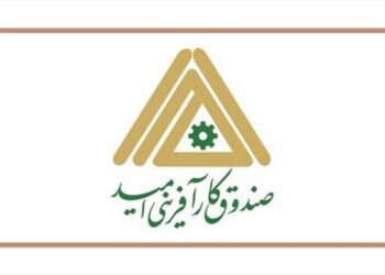 مدیرعامل صندوق کارآفرینی امید منصوب شد