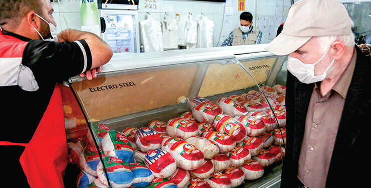 مرغ دوباره گران شد/ قیمت مرغ در پایان آبان‌ماه از ۲۰۰ هزار تومان هم عبور می‌کند؟