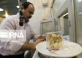 طلا باز هم عقب نشینی کرد